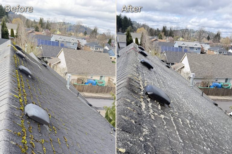 roof-cleaning-5