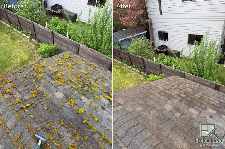 01-roof-moss-removal