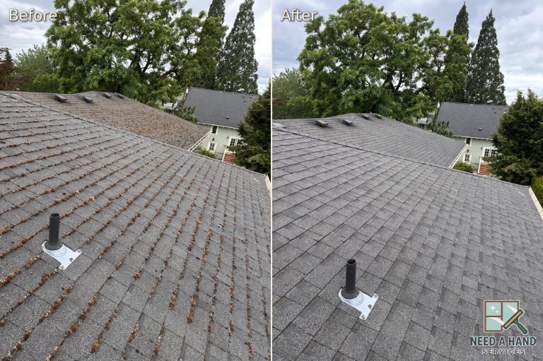 12-roof-debris-removal